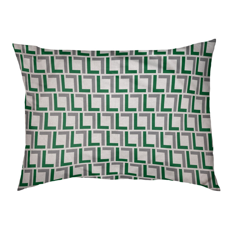 Lit pour chat Dupoint Designer, Grand (L 52 po x l 42 po), Blanc / vert / argent