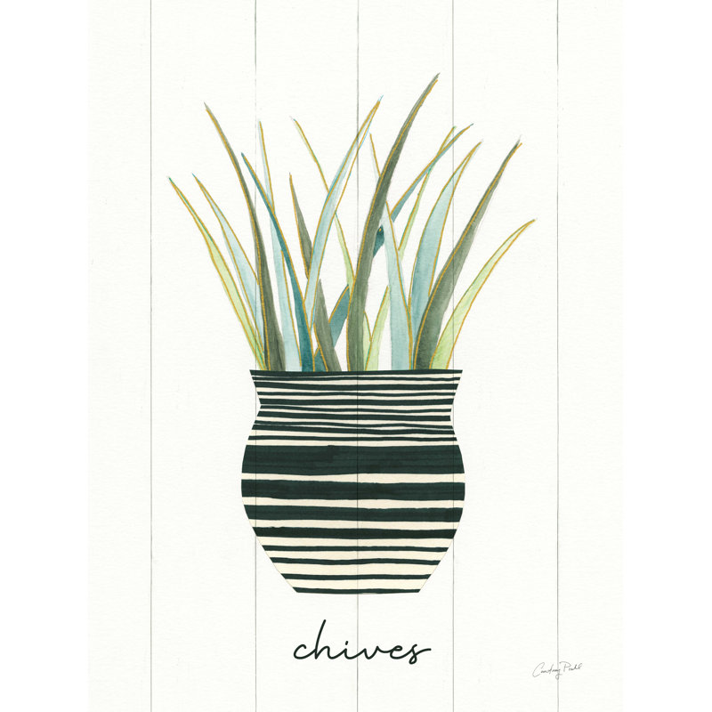 Herb Garden VI - reproduction sur toile tendue, H 16 po x l 12 po