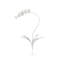 Tulip Orchid Stems-49635220