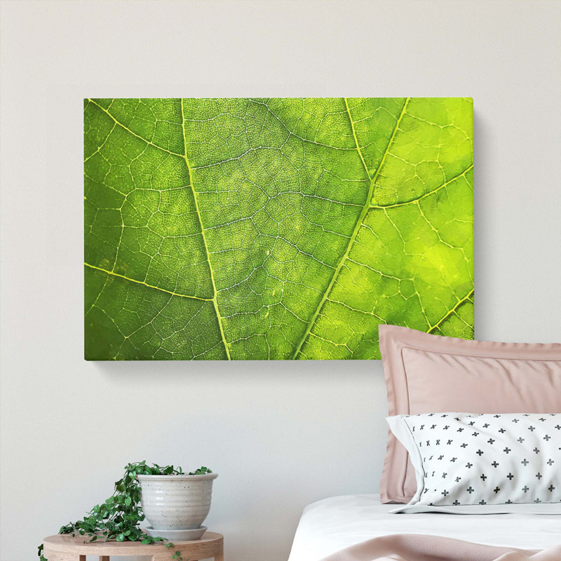 Veins Of A Leaf - Wrapped Canvas, 35cm H x 50cm W x 3cm D