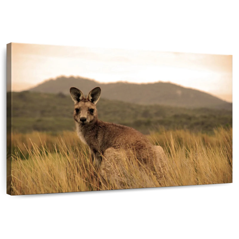Brampt Wild Kangaroo, 30" H x 45" W
