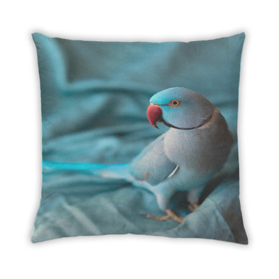 Coussin 32
