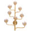 Marjorie Skouras Agave Americana 8 - Light Candle Wall Light