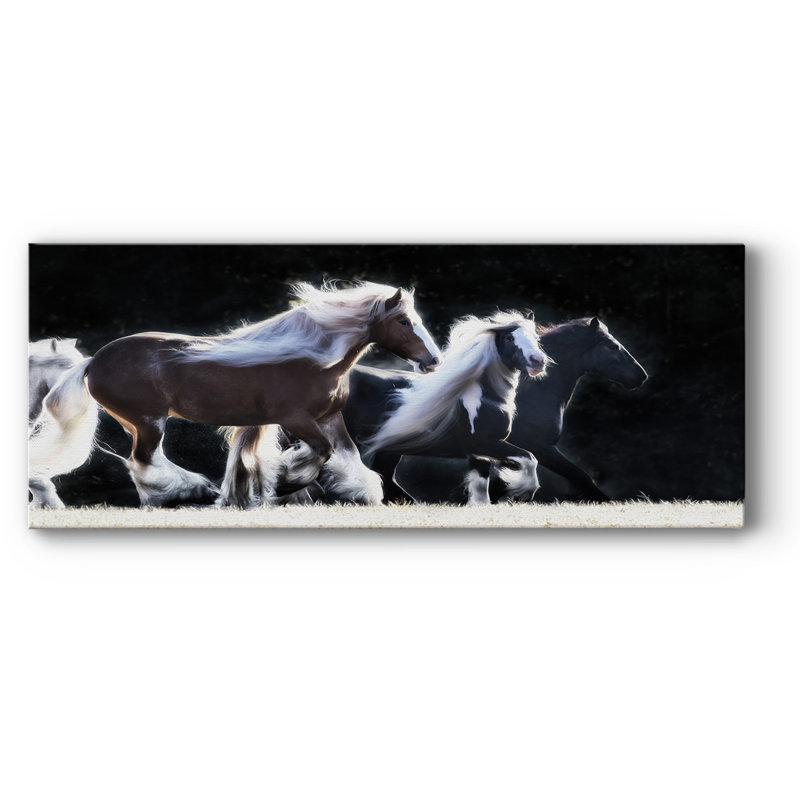 " Horse Motion X ", 24" H x 60" W x 1.5" D