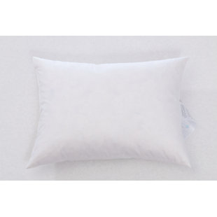 Symple Stuff Modern Rectangular Pillow Insert