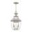Alexavier 2 - Light Outdoor Hanging Lantern-1141437574