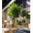 Meentke 11" Wide Craft Hanging Pot With Netting
