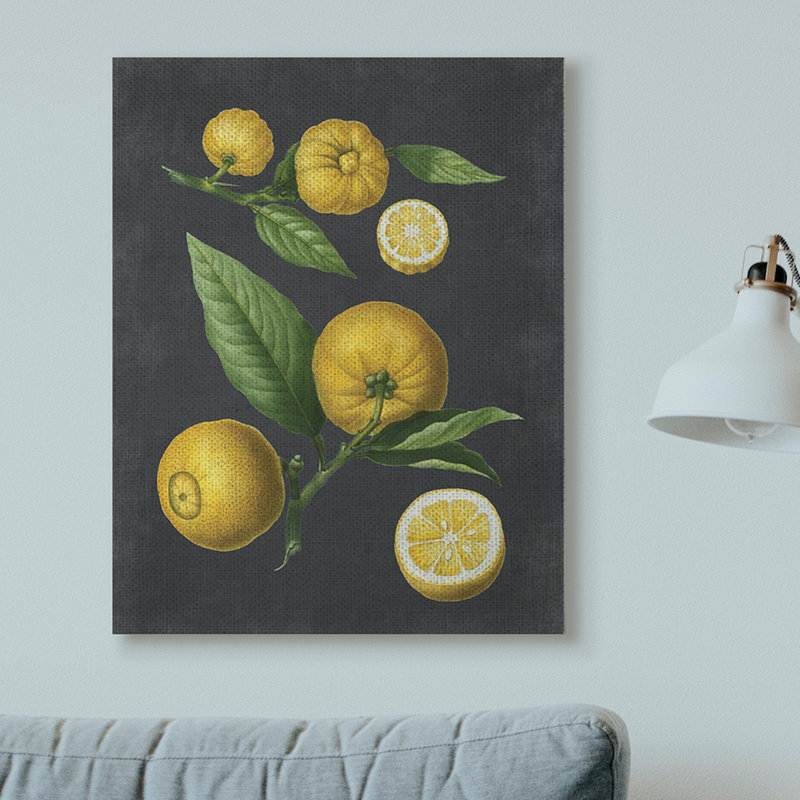 «Botanical Dessin Lemons On Black Design», impression, Toile tendue, H 40 po x l 30 po