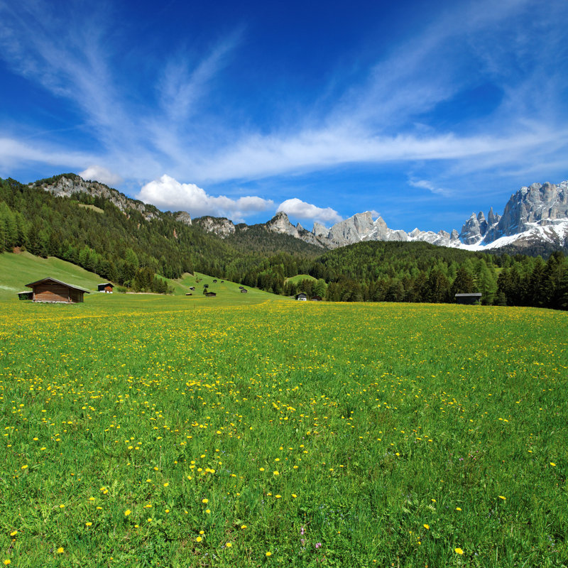 Summer In The Dolomites by Mammuth - Wrapped Canvas Print, 76cm H x 76cm W