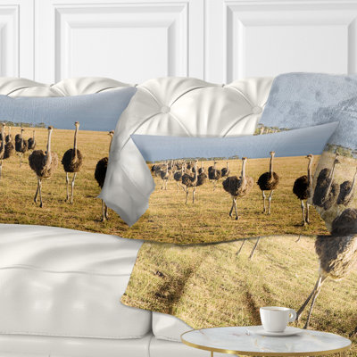 Coussin lombaire afrique du sud africain ostriches