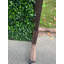 Artificial Foliage Wall Panel With Lockable Roller