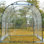 Wall 2m W x 2.5m D Greenhouse