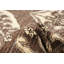 Tapis unique en laine noué à la main de style nouvel âge 18 / 20e brun 7 pi 9 po x 10 pi Pako