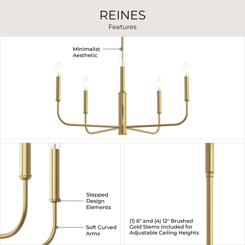 Reines 5-Light Brushed Gold Medium Chandelier, Brushed Gold, 5
