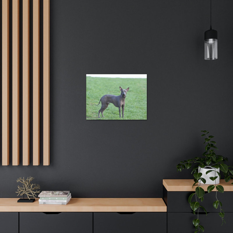 Wall Art on Canvas, 16cm H x 12cm W