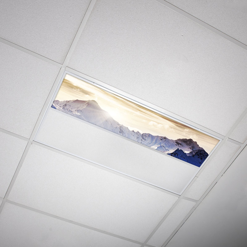 Landscape Rectangle Fixture Component Ceiling Light