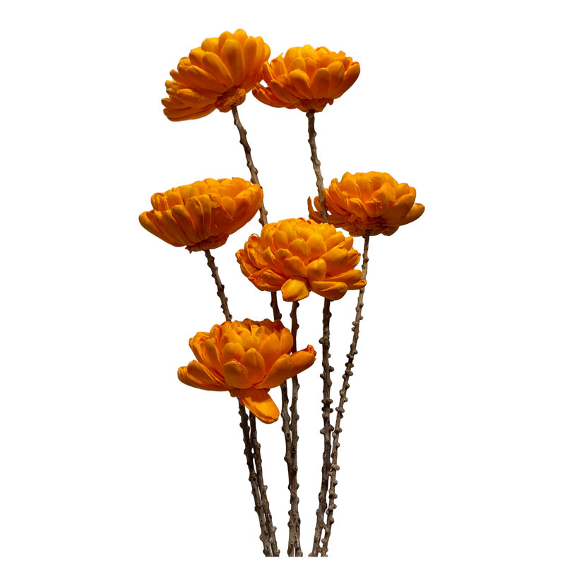 Mum Arrangement, Tangerine