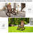 Diadra Fir Outdoor Adirondack Chair