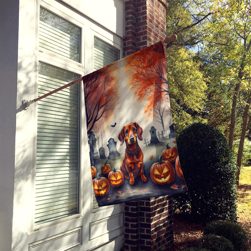 Drapeau de maison d'Halloween en polyester à double face H 40 po x l 28 po