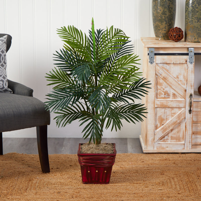 Plante de palmier Silk Areca