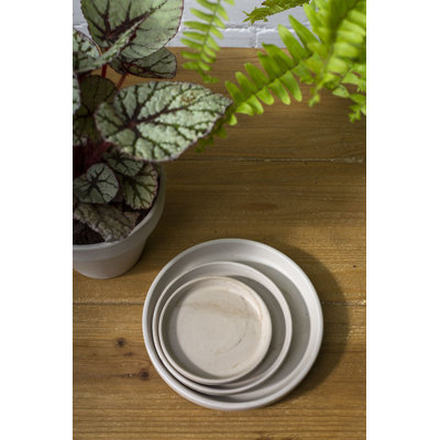 Herget Stone Saucer Plant Stand