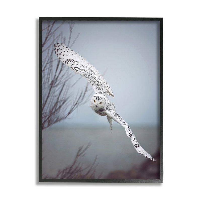 «Majestic Snowy Owl Flying Wingspan Wildlife» par Carrie Ann Grippo-Pike - photographie à cadre flottant sur toile