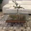 Ruby Glass Coffee Table