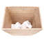 Panier à déchets en rotin Kana-35476427