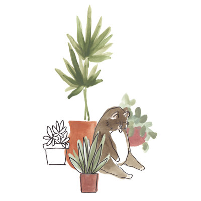 " Purrfect Plants II " by June Erica Vess Painting Print