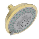 Multi Function Fixed Shower Head