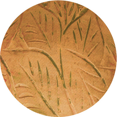 Floral Indoor Rug