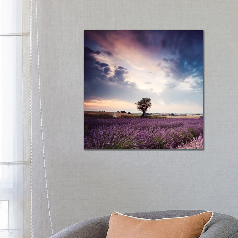Tree In Lavender Field, Provence by Matteo Colombo - Wrapped Canvas Print, 66.04 cm H x 66.04 cm W x 1.91 cm D