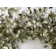24" Spring Eucalyptus Front Door Wreath