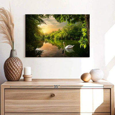 Harnek cygne serein dans la jungle