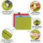 4pcs Food Grade PP Chopping Boards with Stand