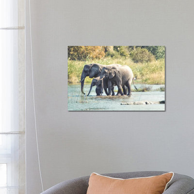 Elephant Trio II by MScottPhotography - Wrapped Canvas Gallery-Wrapped Canvas Giclée