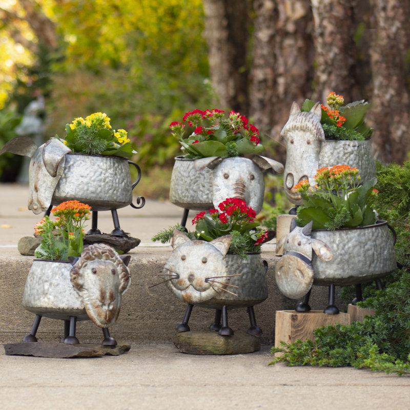 Ensemble de 6 pots à fleurs en fer