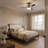 48'' Ceiling Fan with LED Lights-88061632-88061633
