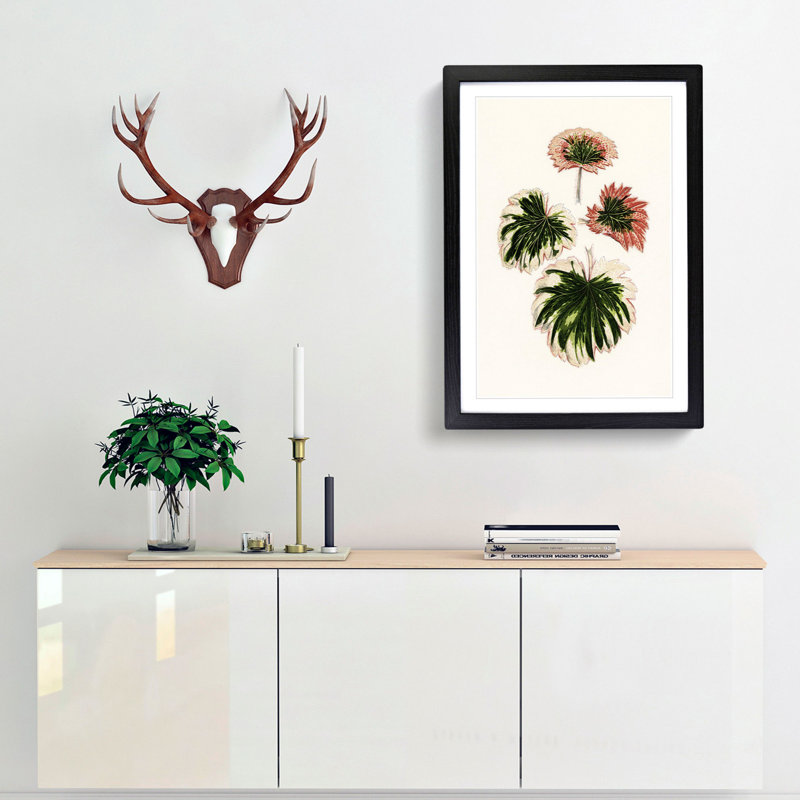 Saxifrage Leaves by Benjamin Fawcett - Picture Frame Painting Print, 50cm H x 35cm W x 2cm D, Black
