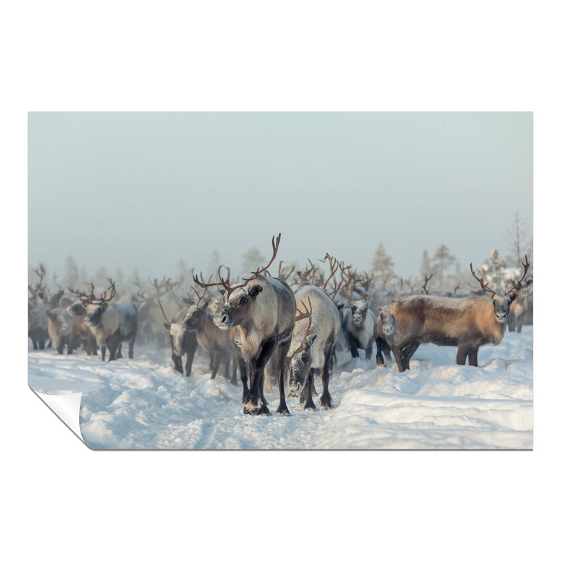 Reindeers In Winter Snow - No Frame Print, 20cm H x 31cm W