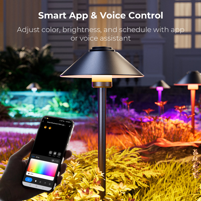 Matte Black Plug-in Integrated LED Pathway Light