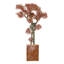 53 po H Bonsai Real-touch