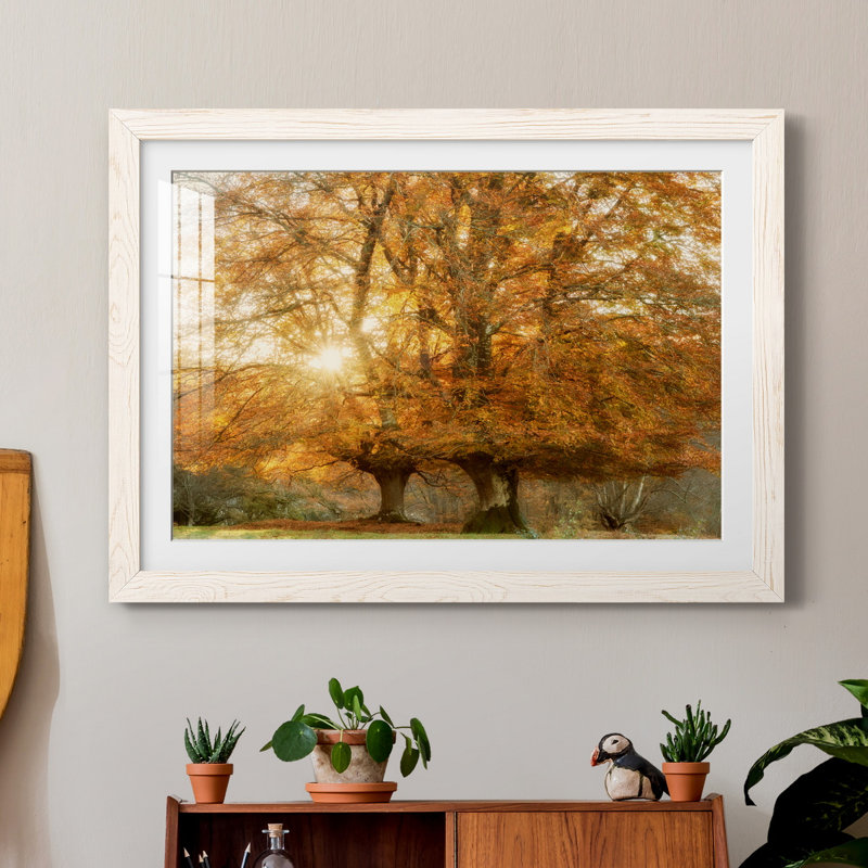 " Couple Of Beeches ", White Framed Paper, 31.5" H x 23.5" W x 1.5" D