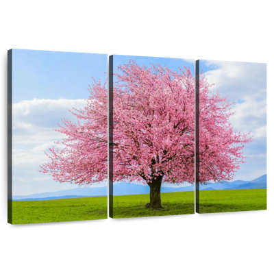 Harnek fleurissant arbre sakura