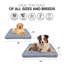 Lit orthopédique confortable pour chien Tucker Murphy Pet ™-1319902444