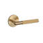 Round Passage (Hall & Closet) Door Lever with Round Rosette-779890268