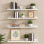 Ensemble de 4 tablettes murales flottantes, bois blanc ultrabrillant