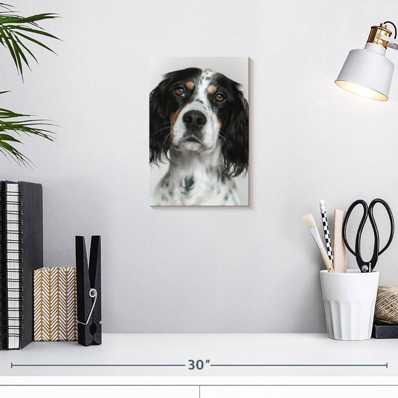 Brampt English Setter Dog, 12" H x 8" W