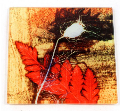 Glass Square 1 Piece Coaster