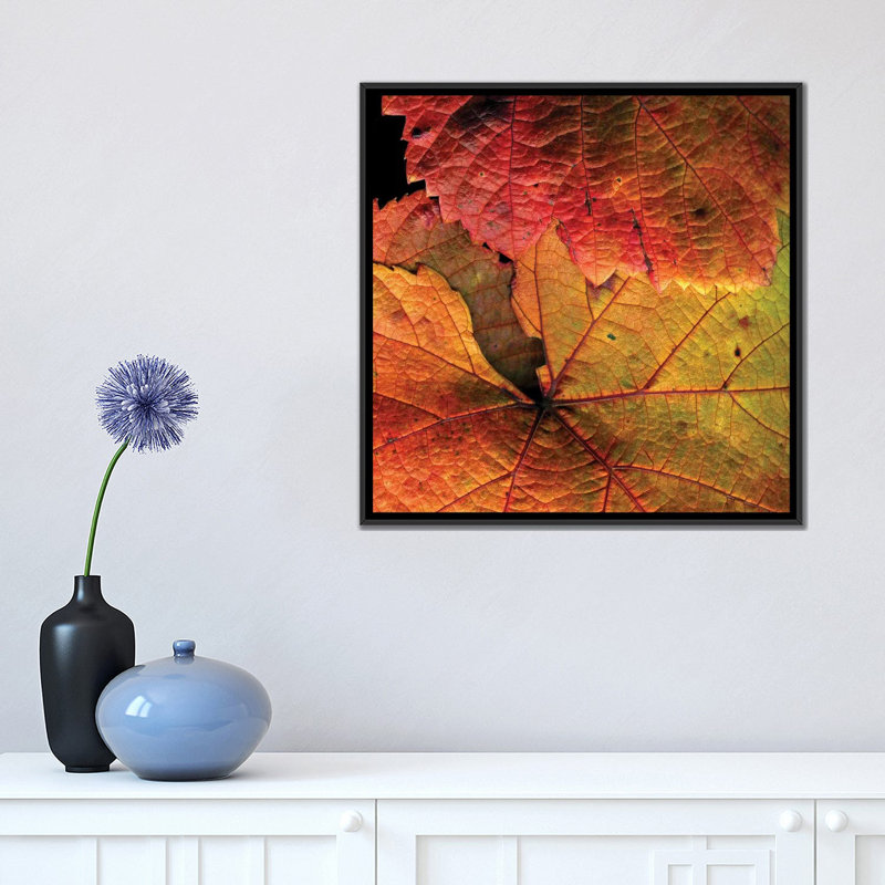 «Vine Leaves», reproduction de photo sur toile tendue, H 18 po x l 18 po x P 1,5 po, Toile encadrée noire, Pas de tapis